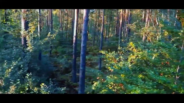 Briller - GVN$HØT ØFFICIEL (Clip Officiel) [Extrait De l’Ep PPF ] Dispo sur YT