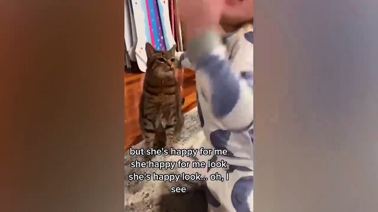 Animales divertidos 2023