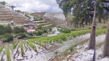 Chuva e granizo provocaram prejuízos avultados em Vila Nova de Foz Côa