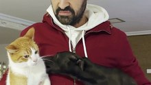 Unstoppable Dog's Hilarious Pursuit of the Cat