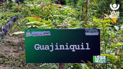 Inauguran Centro de Desarrollo Tecnológico Ramon Raudales en Dipilto