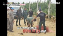 [HOT] Korean woman, mysterious death in Cambodia?,생방송 오늘 아침 230614