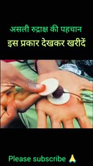 Asali rudraksh ki pahchan | Asali rudraksh ki kya pahchan hai |Asali rudraksh kaise pahchane