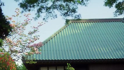 金曜ロードショー - 極工夫道 T#3