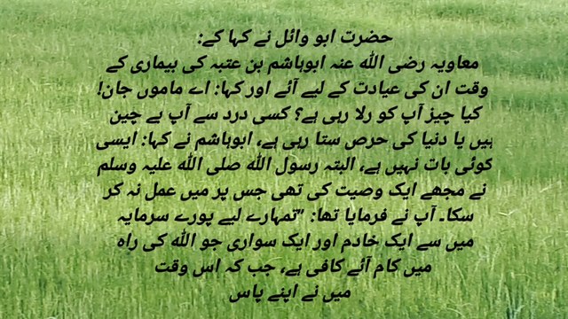 Hadees | hadees e pak | hadees sharif | hadees mubarak | hadees WhatsApp stutus urdu