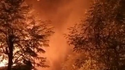 मधेपुरा: सिलेंडर ब्लास्ट से लगी आग में तीन घर जले, लाखों का नुकसान