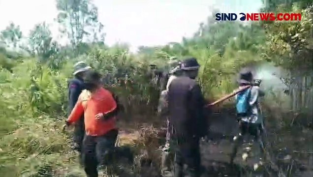 Kebakaran Hutan dan Lahan Meluas di Kotawaringin Barat, 60 Hektare Dilalap Api
