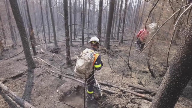 Incendies : des pompiers français en renfort au Canada