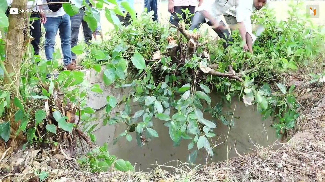 Dog rescue How two dumb people who fell in the well were rescued together!Animal Rescue operation in the Well