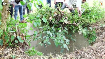 Dog rescue How two dumb people who fell in the well were rescued together!Animal Rescue operation in the Well