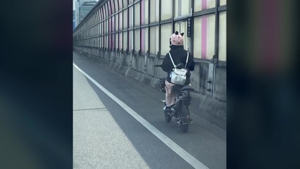 "서울 내부순환로에 전기자전거 주행"...경찰 출동 / YTN