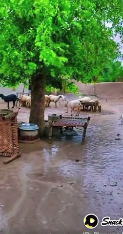 shooting video with music  of beautiful village