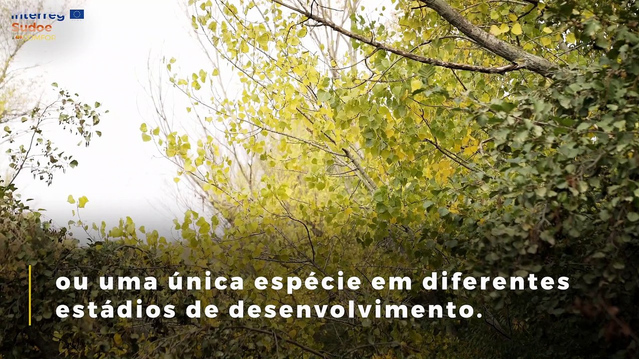 JORNADAS COMFOR-SUDOE_PT