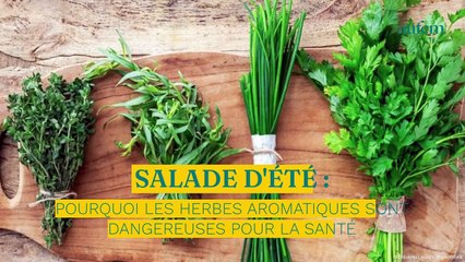 Salade d’été : pourquoi les herbes aromatiques sont dangereuses pour la santé