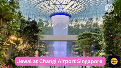 Amazing Architectural design view captured at Jewal Changi Airport Singapore