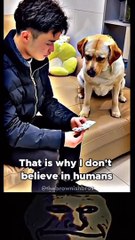 I don't believe in humans  #shorts _ The Brownish Bros