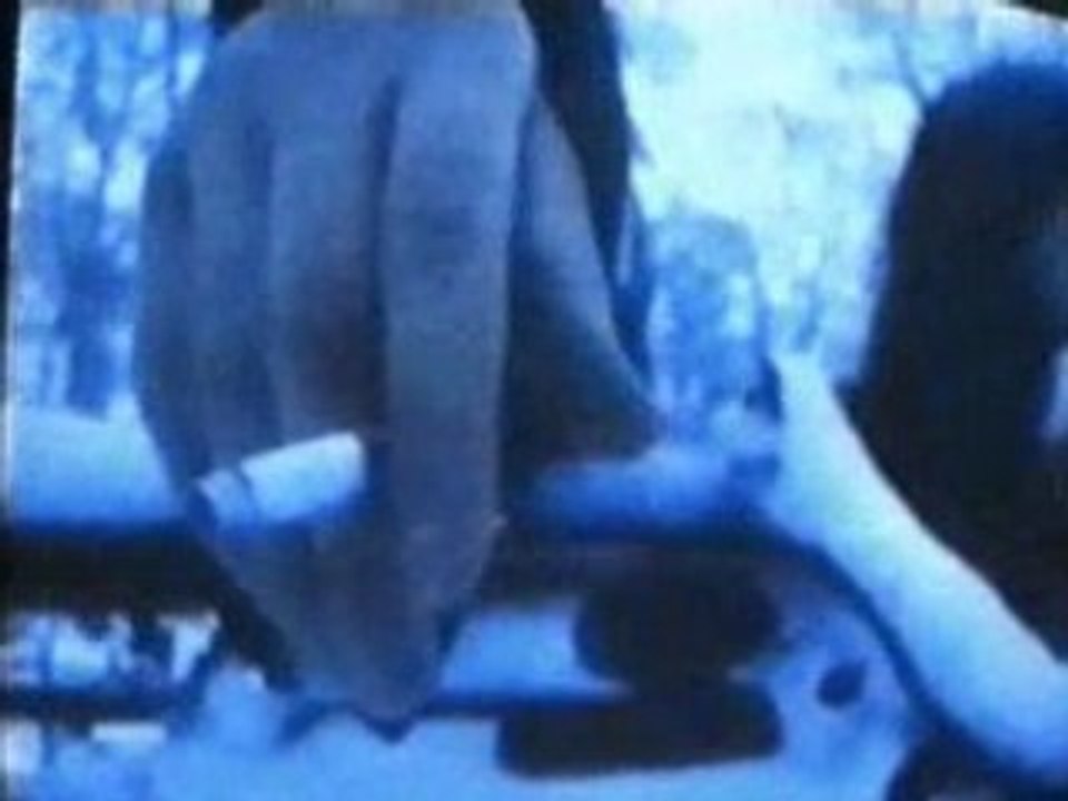 The 69 Eyes - Wasting The Dawn