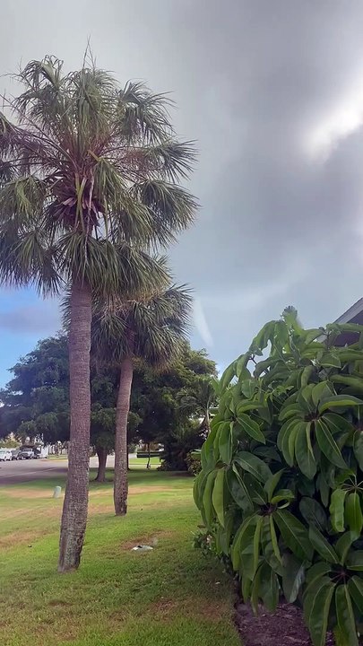 Offshore Waterspout In Tierra Verde