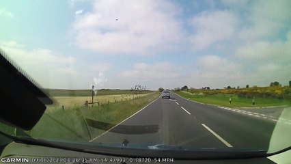 Flock of Birds Fly Straight Into Car