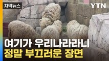 [자막뉴스] 보고 눈을 의심했습니다...처참한 동물원 상태 / YTN
