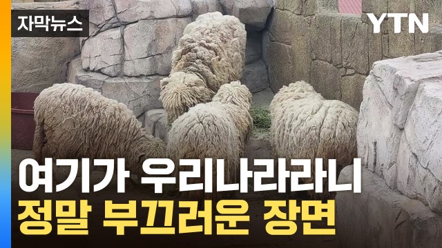 [자막뉴스] 보고 눈을 의심했습니다...처참한 동물원 상태 / YTN