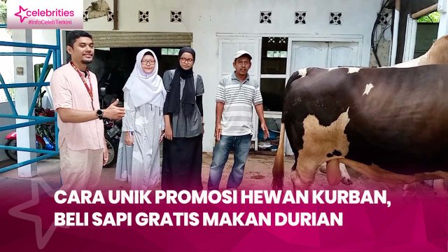 Cara Unik Promosi Hewan Kurban, Beli Sapi Gratis Makan Durian