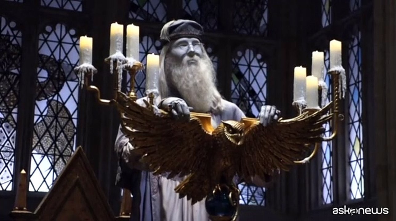 Un assaggio in anteprima del parco di Harry Potter di Tokyo