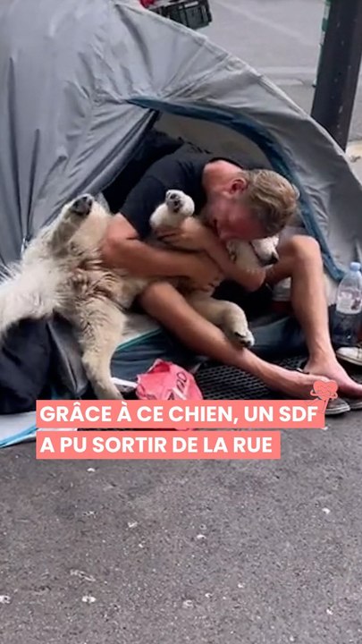 Grâce à ce chien, un SDF a pu sortir de la rue 