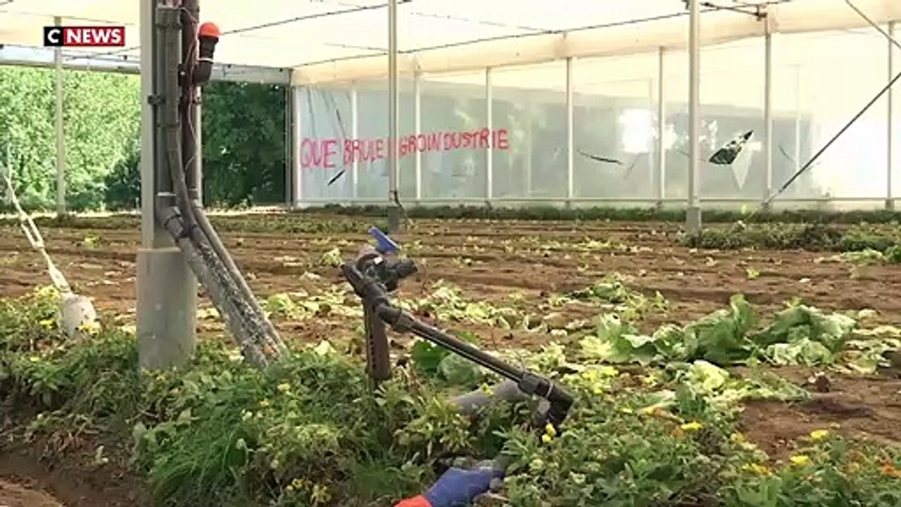 Une plainte déposée suite à la dégradation d'une serre expérimentale dimanche au sud de Nantes pendant une manifestation de militants écologistes venus dénoncer l'exploitation du sable à des fins industrielles - VIDEO