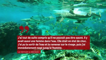 Une tête humaine retrouvée dans le ventre d’un requin qui a déjà ‘tué deux fois’ !
