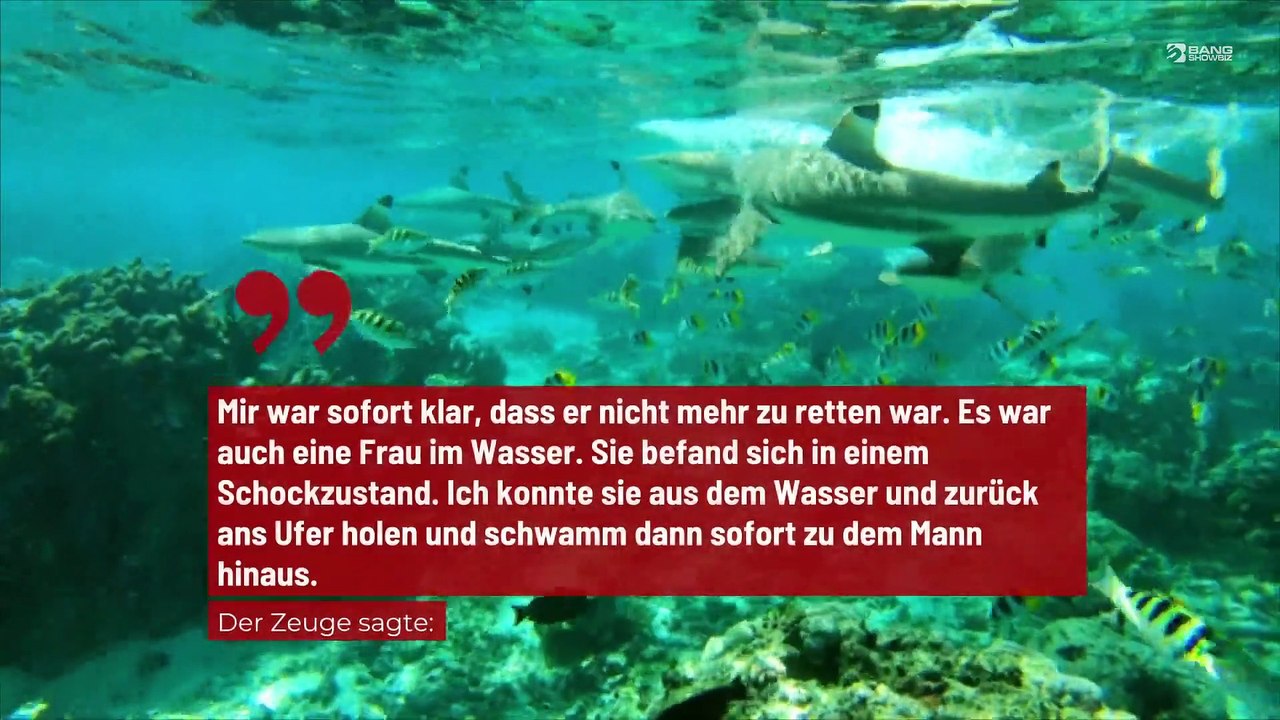 Menschlicher Kopf im Bauch eines Hais gefunden