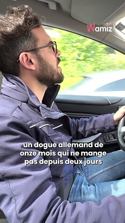 Suivez Pierre Fabing, jeune vétérinaire urgentiste sur le terrain !