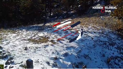 Vaşağın avlanma mücadelesi fotokapana yansıdı