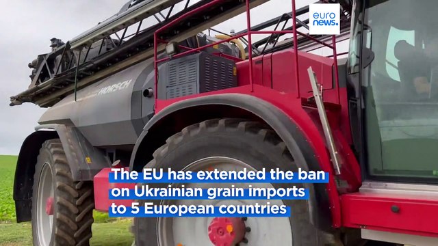 EU blocks Ukraine grain imports to five countries including Poland