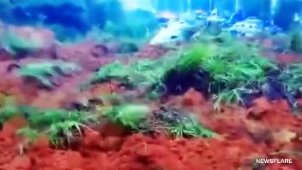 5 Weather Moments Caught On Security Cameras