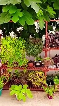 Garden decoration ideas #gardeningideasforhome #gardening