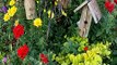 Garden & Outdoor Archives ! 20 example for inspiration - Ash Garden ideas - Diy garden decor ideas