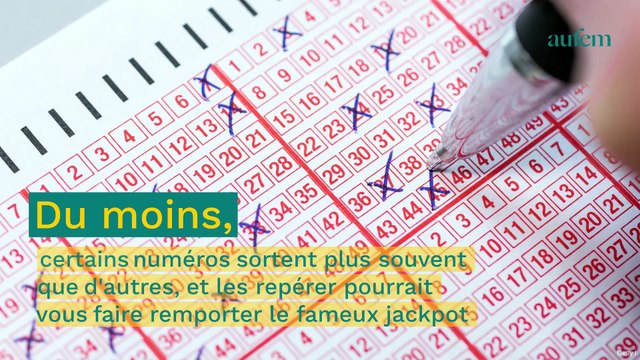 Loto : voici les numéros chances qui tombent le plus souvent !