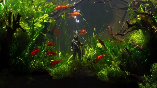 Ondine Bande-annonce (ES)