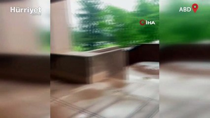 ABD'de dolu yağışı sokakları beyaza bürüdü