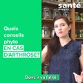 Quelle plante pour soigner l'arthrose ?