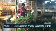 Penjual Kambing Kurban Berikan Layanan Gratis Penitipan