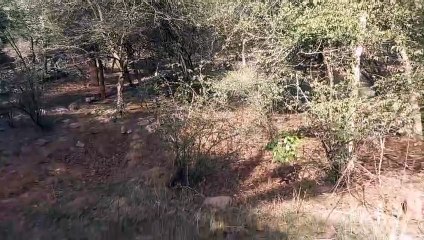 पर्यटकों को भाया गणेश का अंदाज