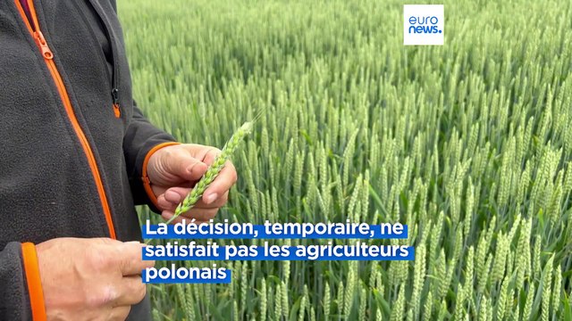 Les agriculteurs polonais ne veulent plus des céréales ukrainiennes