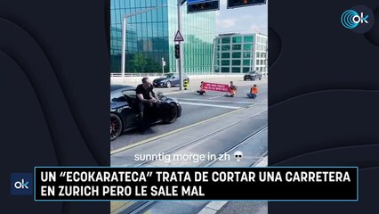 Un “ecokarateca” trata de cortar una carretera en Zurich pero le sale mal
