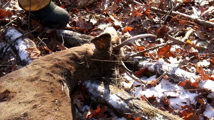 MeatEater - Opening Day Wisconsin Whitetail