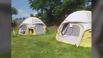 청도 무료 캠핑장 '알박기 텐트' 무더기 훼손...경찰 수사 / YTN