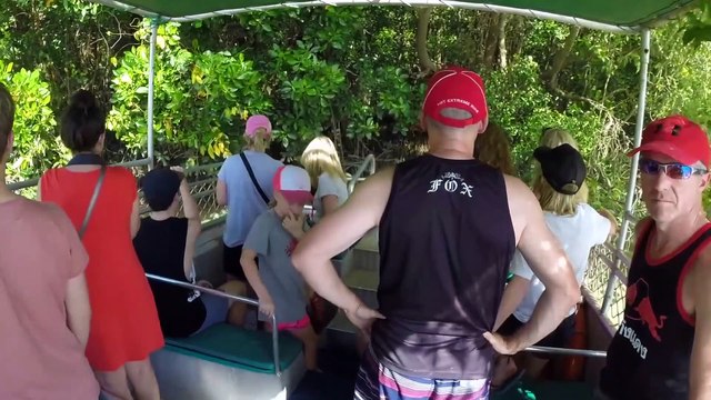 Voici Dominator, le plus gros crocodile de Floride