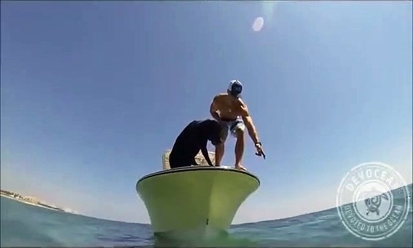 Son chien est dressé pour plonger dans la mer et pecher des homards