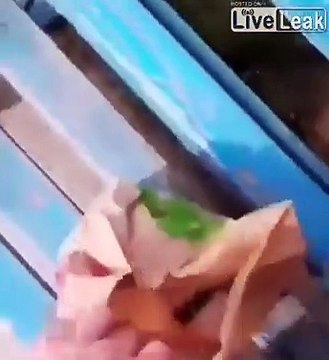 Il donne des McNuggets à un chien errant mais ne s'attendez pas à cette réaction